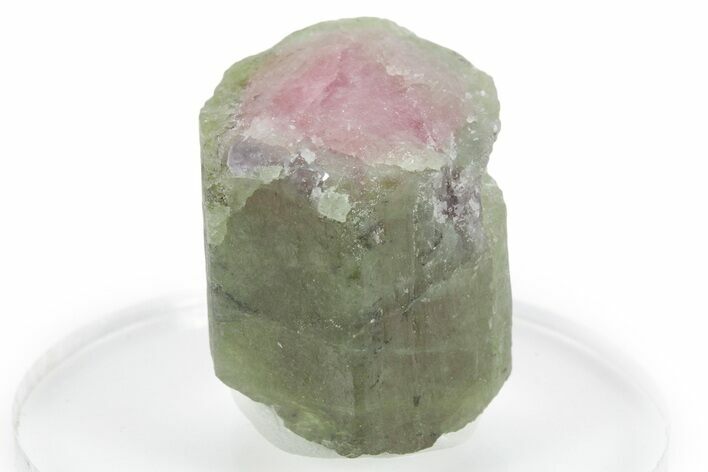 Bicolor Elbaite Watermelon Tourmaline - Afghanistan #354930